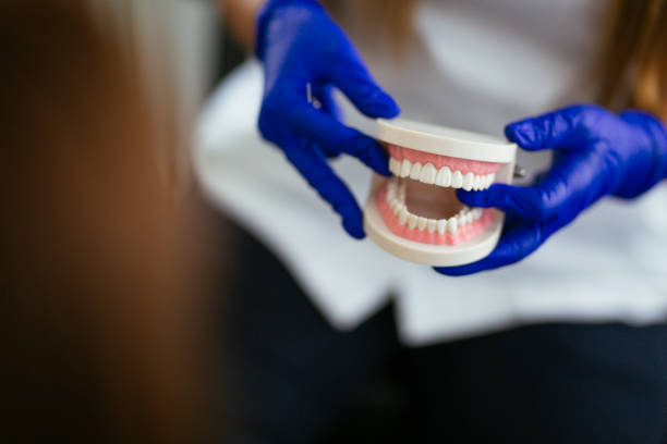 Best Traditional Braces  in Collinsvle, IL